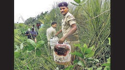 Policemen recover illicit liquor from a field in Bihar's Gopalganj district on August 2016. (PTI)