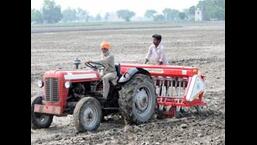 As per the latest figures of the Haryana agriculture department, over 22,685 farmers of the state have registered their 1.08 lakh acres for the direct seeded rice (DSR) scheme.  (HT File Photo)