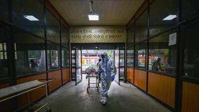 Covid has claimed six lives in Mohali in July and one in Panchkula. (PTI) Covid has claimed six lives in Mohali in July and one in Panchkula. (PTI)