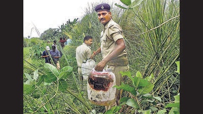 Policemen recover illicit liquor from a field in Bihar’s Gopalganj district on August 2016. (PTI) Policemen recover illicit liquor from a field in Bihar’s Gopalganj district on August 2016. (PTI)