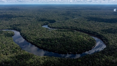 A drone view of the Manicore river, deep inside the Amazonia rainforest, Amazonas state, Brazil. (AFP) A drone view of the Manicore river, deep inside the Amazonia rainforest, Amazonas state, Brazil. (AFP)