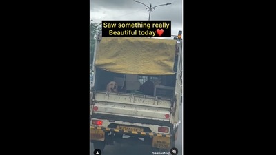 The dog sat in the pickup truck along with furniture items and other things.&nbsp; (saahasforpune/Instagram)
