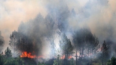 A wildfire burns through vegetation in Landiras, southwestern France, on July 13, 2022. - Two fires have burned nearly 1,700 hectares of pine trees in Gironde on July 13, forcing the evacuation of 6,000 campers. A heat wave in Western Europe is fuelling wildfires across vast stretches of forestland. (Photo by Laurent THEILLET / POOL / AFP) (AFP) A wildfire burns through vegetation in Landiras, southwestern France, on July 13, 2022. - Two fires have burned nearly 1,700 hectares of pine trees in Gironde on July 13, forcing the evacuation of 6,000 campers. A heat wave in Western Europe is fuelling wildfires across vast stretches of forestland. (Photo by Laurent THEILLET / POOL / AFP) (AFP)