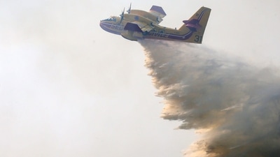 A Canadair firefighting aircraft dumps water over a wildfire in Landiras, southwestern France, on July 13. (AFP) A Canadair firefighting aircraft dumps water over a wildfire in Landiras, southwestern France, on July 13. (AFP)