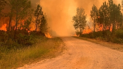 A spate of wildfires is scorching parts of Europe amid an unusual heat wave that authorities are linking to climate change, menacing villages and disrupting tourists' holidays. Thousands of firefighters battled more than 20 blazes that raged on Wednesday across Portugal and western Spain. (AP) A spate of wildfires is scorching parts of Europe amid an unusual heat wave that authorities are linking to climate change, menacing villages and disrupting tourists' holidays. Thousands of firefighters battled more than 20 blazes that raged on Wednesday across Portugal and western Spain. (AP)