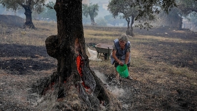 In France, hundreds of firefighters, supported by six water-bomber aircraft, battled two wildfires in the southwest, which prompted the evacuation of thousands of campers, Gironde prefect Fabienne Buccio said. (AFP) In France, hundreds of firefighters, supported by six water-bomber aircraft, battled two wildfires in the southwest, which prompted the evacuation of thousands of campers, Gironde prefect Fabienne Buccio said. (AFP)