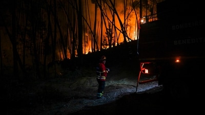 Some villagers rescued pets while others helped firefighters battle the flames. (AFP) Some villagers rescued pets while others helped firefighters battle the flames. (AFP)