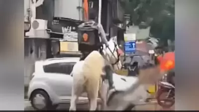 Sushant, the formerly-supposed Swiggy delivery person sitting on top of a horse, riding through a flooded stretch in Mumbai.&nbsp;