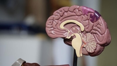 Do you know your brain's neurons function even in sleep? (Unsplash) Do you know your brain's neurons function even in sleep? (Unsplash)