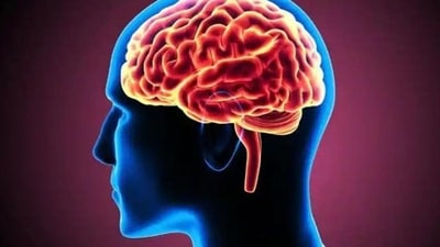 Brain inflammation, sleep disturbance and disrupted brain waves have all been associated with Alzheimer's disease (Shutterstock)