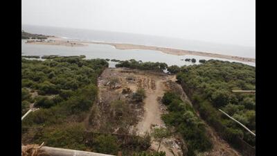These 27 hectares of mangroves are part of a much larger chunk (a little over 1,463 hectares) which have been brought under the purview of Section 4 of the Indian Forest Act this month. (Hindustan Times (Representational image))