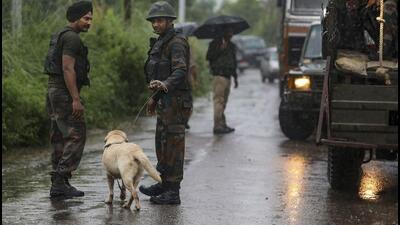 Security personnel after bomb disposal experts destroyed a fire extinguisher, suspecting the presence of an improvised explosive device inside it, in Akhnoor of Jammu on Thursday. (PTI) Security personnel after bomb disposal experts destroyed a fire extinguisher, suspecting the presence of an improvised explosive device inside it, in Akhnoor of Jammu on Thursday. (PTI)