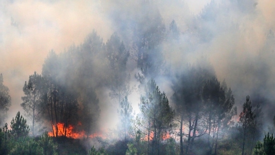 A wildfire burns through vegetation in Landiras, southwestern France, on July 13, 2022. - Two fires have burned nearly 1,700 hectares of pine trees in Gironde on July 13, forcing the evacuation of 6,000 campers. A heat wave in Western Europe is fuelling wildfires across vast stretches of forestland. (Photo by Laurent THEILLET / POOL / AFP)(AFP)