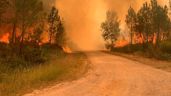 A spate of wildfires is scorching parts of Europe amid an unusual heat wave that authorities are linking to climate change, menacing villages and disrupting tourists' holidays. Thousands of firefighters battled more than 20 blazes that raged on Wednesday across Portugal and western Spain.(AP)