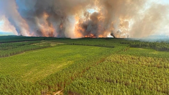 In Leiria, where over 3,000 hectares have burned so far. Nearly 900 firefighters were combating three active blazes in Leiria alone, while in the whole of mainland Portugal there were 2,841 firefighters on the ground and 860 vehicles.(AP)