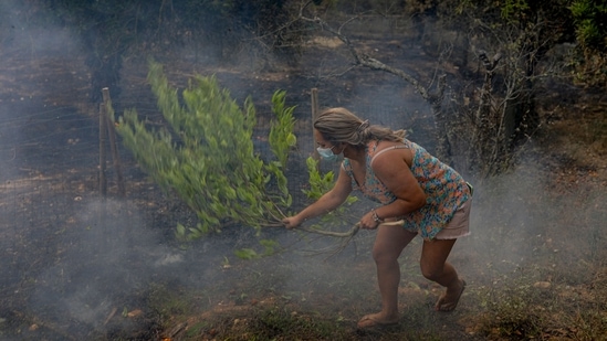 In Portugal's popular tourist destination southern Algarve region, a fire broke out in the city of Faro and spread to the Quinta do Lago luxury resort.(AFP)