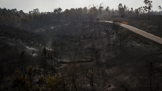 This aerial photograph shows a burnt area during the wildfires in Ourem. The fire that has been raging since the end of last week in part of the Santarem district restarted, helped by the exceptionally high temperatures, after being temporarily contained on July 11. The Santarem region was expecting record temperatures of 46 degrees, the highest in the country. (AFP)