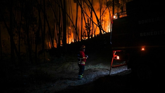 Some villagers rescued pets while others helped firefighters battle the flames.(AFP)