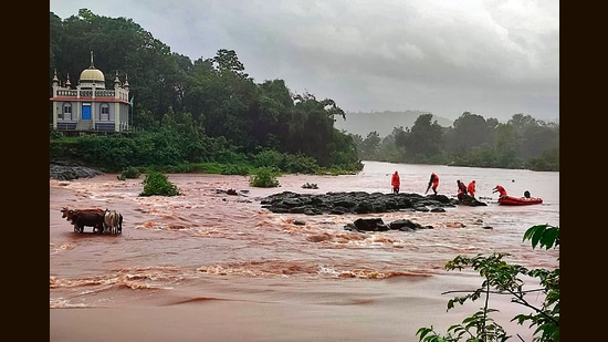 NDRF team rescue animals stuck in a flood water of Jagbudi river in Khed. (Anil Phalke/HT PHOTO)