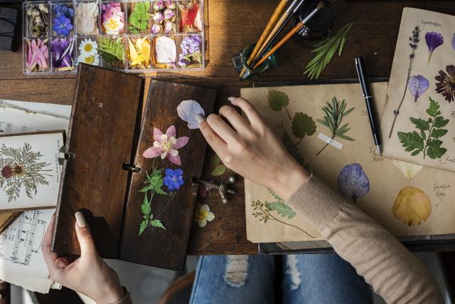 “For a period of roughly four years, Aline Boni, the French girl from Bourgaltroff and I corresponded regularly, exchanging handwritten letters, sometimes pressed flowers from her garden or our stamp sized pictures.” - Sonali Mujumdar (Shutterstock) “For a period of roughly four years, Aline Boni, the French girl from Bourgaltroff and I corresponded regularly, exchanging handwritten letters, sometimes pressed flowers from her garden or our stamp sized pictures.” - Sonali Mujumdar (Shutterstock)