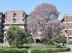 While five of these are central institutes, two are private and one is a state-run medical university—King George's Medical University (KGMU).(HT file) While five of these are central institutes, two are private and one is a state-run medical university—King George's Medical University (KGMU).(HT file)