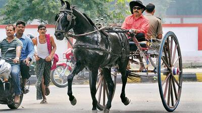 Anant Singh rides a horse carriage to Bihar assembly in this photo taken in 2020. (HT archive) Anant Singh rides a horse carriage to Bihar assembly in this photo taken in 2020. (HT archive)
