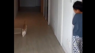 The image, taken from the Reddit video, shows the kid trying to scare the cat. (Reddit/@Ehansaja)