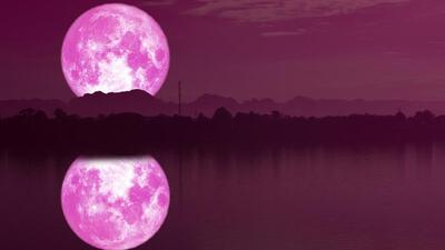 Strawberry moon (Shutterstock)