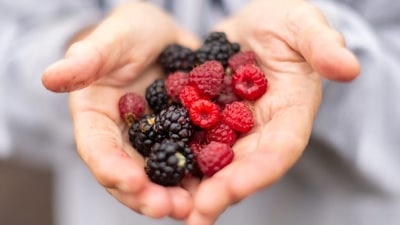 Some healthy snacks for nighttime eating is berries, nuts, skimmed yogurt, sauteed vegetables, boiled or scrambled eggs, makhanas, carrots, roasted gram. (Unsplash)