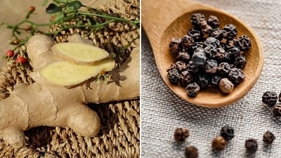 From tulsi, black pepper to garlic, here is a list of herbs and spices you must add to your food. (Pixabay)
