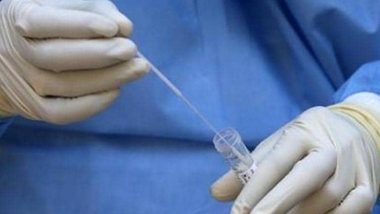 More than 4.50 lakh samples were tested for Covid in the last 24 hours, the ICMR said on Friday.&nbsp;(HT file photo. Representative image)