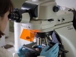 While women have two X chromosomes, men have an X and a Y.(Representative image)