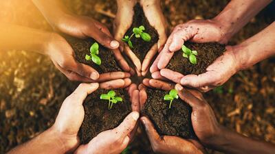 The district administration and forest department kicked off the state’s flagship green scheme, ‘Shaheed-e-Azam, Bhagat Singh Hariyawal Laher’ at the City Park, Sector 68. (Getty Images/Representatives Image)