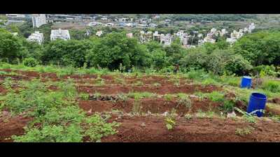 Volunteers of Vasundhara Swachata Abhiyan have worked for 15 years to turn Baner-Pashan hill from a barren land to a lush green area, (HT PHOTO) Volunteers of Vasundhara Swachata Abhiyan have worked for 15 years to turn Baner-Pashan hill from a barren land to a lush green area, (HT PHOTO)