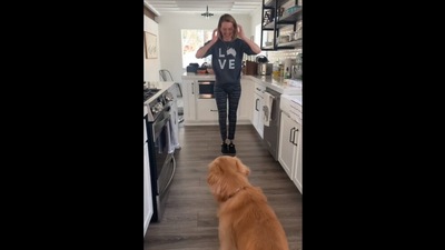 The image is taken from the Instagram video that shows the golden retriever seeing his amputee pet mom standing with help of prosthetics for the first time. (Instagram/@amypurdygurl)