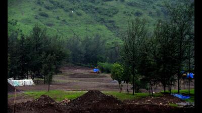 Around 800 trees are to be cut to expand the golf course in Kharghar. (BACHCHAN KUMAR/HT PHOTO) Around 800 trees are to be cut to expand the golf course in Kharghar. (BACHCHAN KUMAR/HT PHOTO)