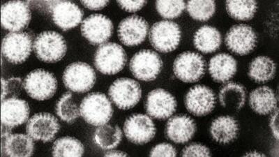 Odisha’s Kashipur sees outbreak of diarrhoea in July and August as people usually go to their paddy fields for farming and drink water from the river, streams, etc. (Stock Pic) Odisha’s Kashipur sees outbreak of diarrhoea in July and August as people usually go to their paddy fields for farming and drink water from the river, streams, etc. (Stock Pic)