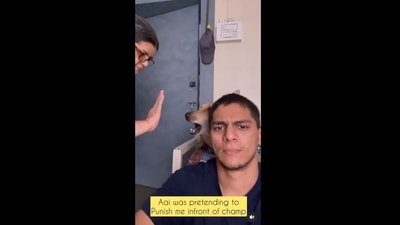 The image has been taken from the video shared on Instagram. The text insert on the image reads, “Aai was pretending to punish me in front of champ.” (Instagram/@ashish.joshiii) The image has been taken from the video shared on Instagram. The text insert on the image reads, “Aai was pretending to punish me in front of champ.” (Instagram/@ashish.joshiii)