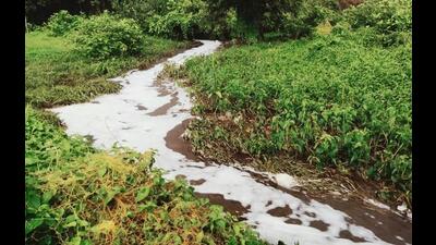 The waste water from the dumping ground in Ambernath is affecting paddy fields, claim the villagers. (PRAMOD TAMBE/HT PHOTO) The waste water from the dumping ground in Ambernath is affecting paddy fields, claim the villagers. (PRAMOD TAMBE/HT PHOTO)