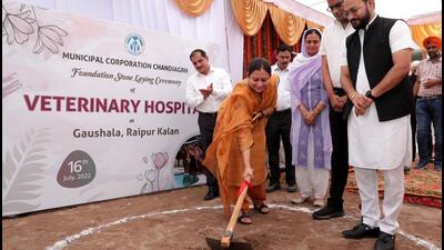 Chandigarh mayor Sarbjit Kaur Dhillon laid the foundation stone of veterinary hospital at Gaushala, Raipur Kalan. (HT PHOTO)
