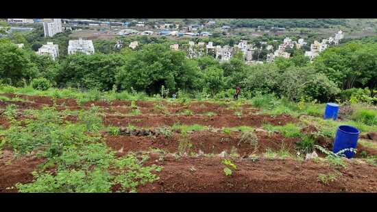 Volunteers of Vasundhara Swachata Abhiyan have worked for 15 years to turn Baner-Pashan hill from a barren land to a lush green area, (HT PHOTO)