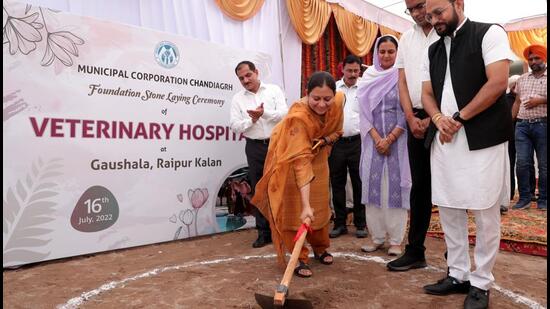 Chandigarh mayor Sarbjit Kaur Dhillon laid the foundation stone of veterinary hospital at Gaushala, Raipur Kalan. (HT PHOTO)
