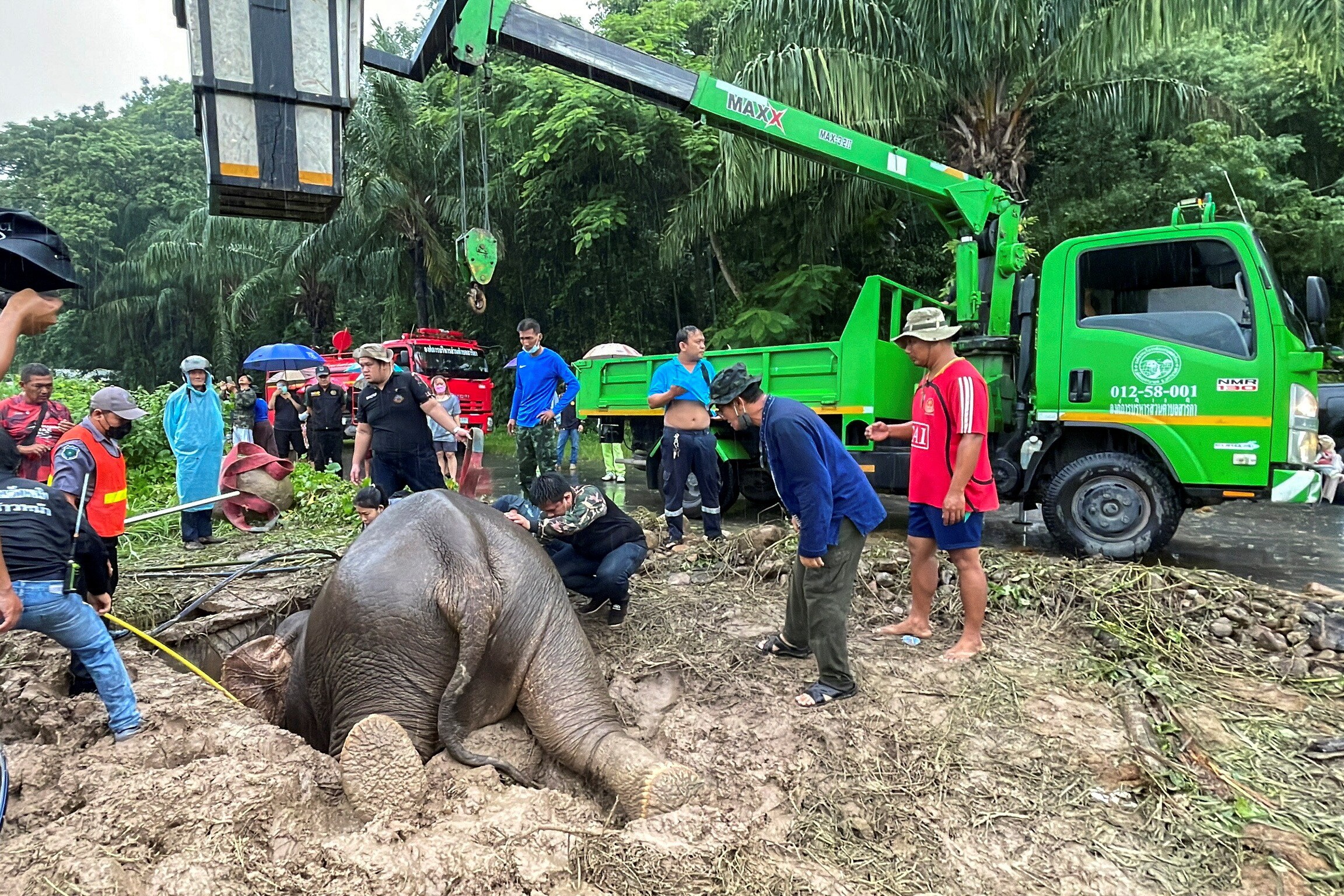 Rescue workers use a crane to lift up a mother elephant after it fell into a manhole. (REUTERS)