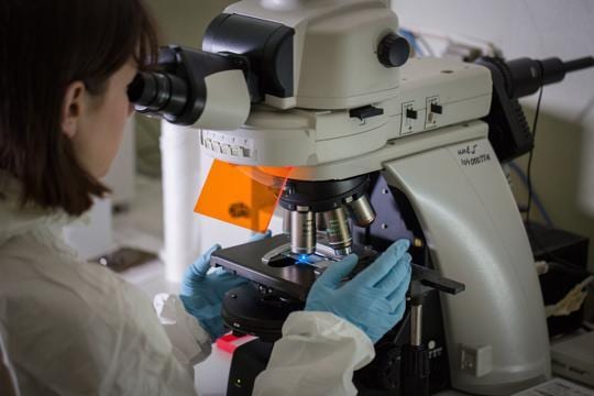 While women have two X chromosomes, men have an X and a Y. (Representative image) While women have two X chromosomes, men have an X and a Y. (Representative image)