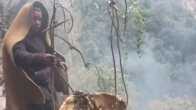 Local men risk their lives just to harvest the honey by making dangerous vertical climbs while enduring stings from enormous bees. (Instagram/@bestmadhoneyy) Local men risk their lives just to harvest the honey by making dangerous vertical climbs while enduring stings from enormous bees. (Instagram/@bestmadhoneyy)
