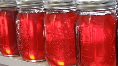 Also known as the 'love drug,' 'Mad honey is not just popular for its psychedelic properties but also for its medicinal qualities. (Instagram/@functional_medicine_group)