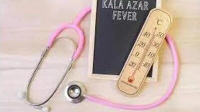 Black fever, or Kala-azar, or Visceral Leishmaniasis (VL) is a complex disease, caused by the parasite, Leishmania donovani, and is transmitted by sandfly Phlebotomine argentipus. (Representative Image)