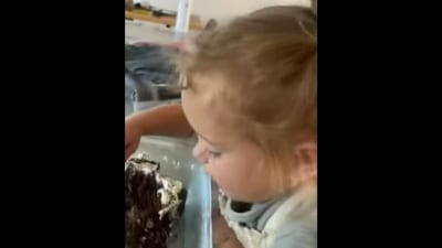 The little girl is eating cake for breakfast in this video,&nbsp; (Instagram/@mikayla__matt)