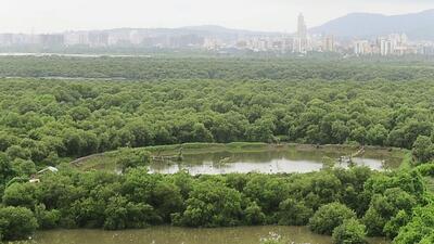 The bridge will significantly reduce travel time between BKC and Sion and will have the capacity to accommodate around 1,000 commuters at any given time, as per details submitted to the forest department for their clearance (Hindustan Times)