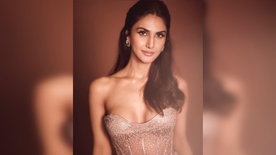 Vaani Kapoor donned a rose gold strapless corset top and teamed it with a pair of loose-fit pleated trousers.(Instagram/@_vaanikapoor_)